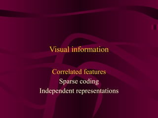 Visual information Correlated features Sparse coding Independent representations 