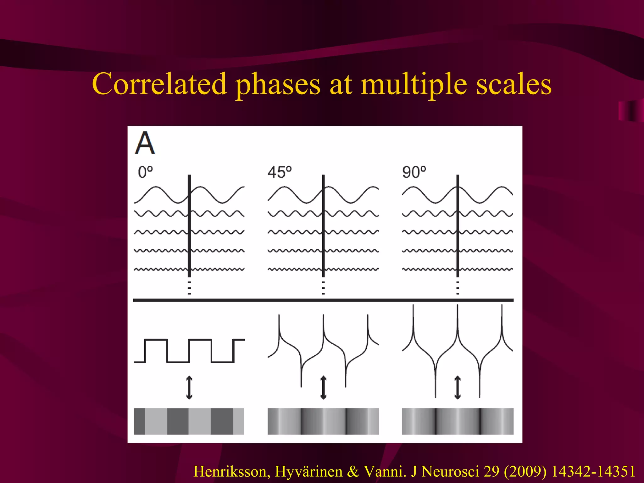 Correlated phases at multiple scales Henriksson, Hyvärinen & Vanni. J Neurosci 29 (2009) 14342-14351 