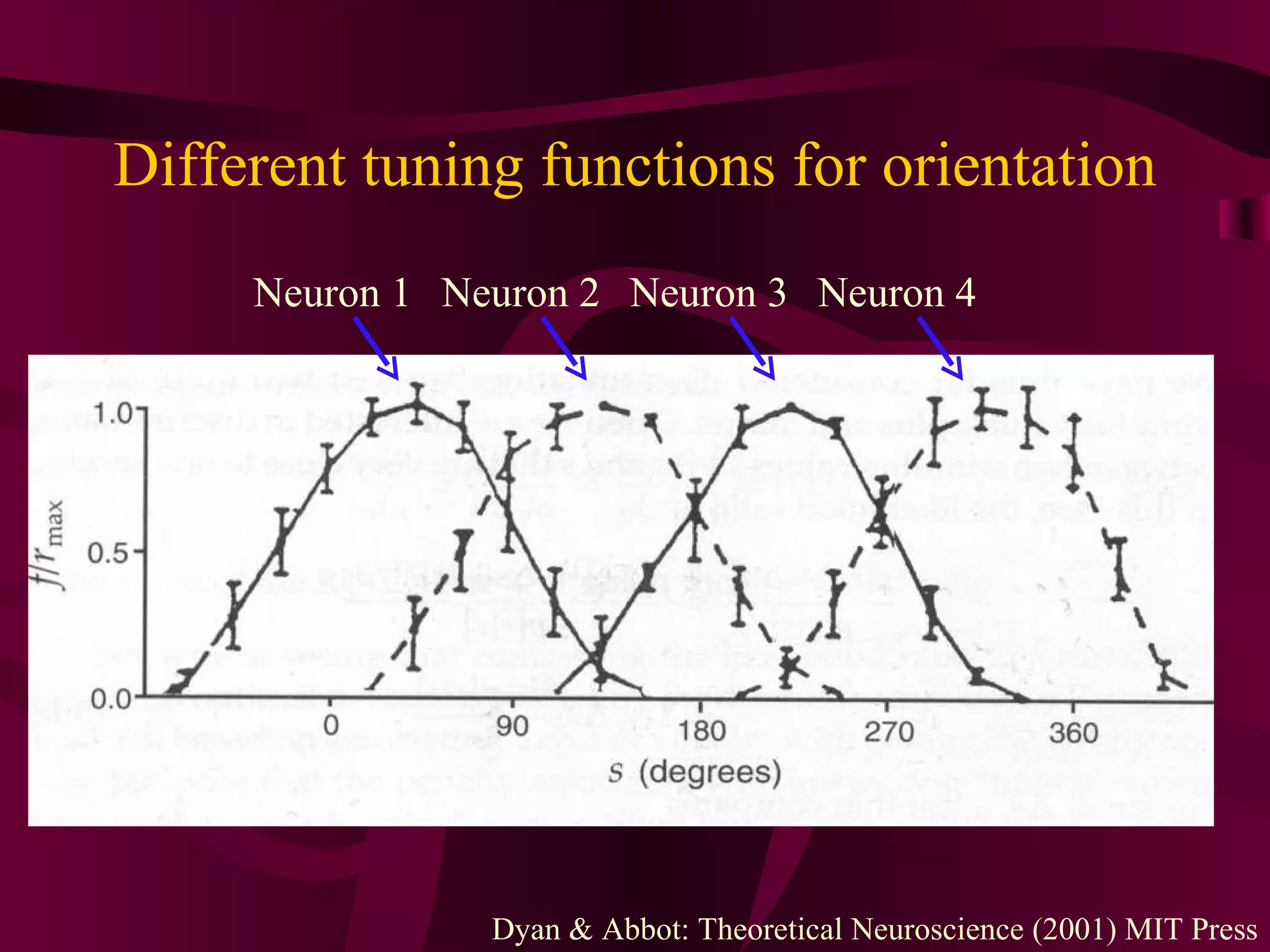 Different tuning functions for orientation Dyan & Abbot: Theoretical Neuroscience (2001) MIT Press Neuron 1 Neuron 2 Neuron 3 Neuron 4 