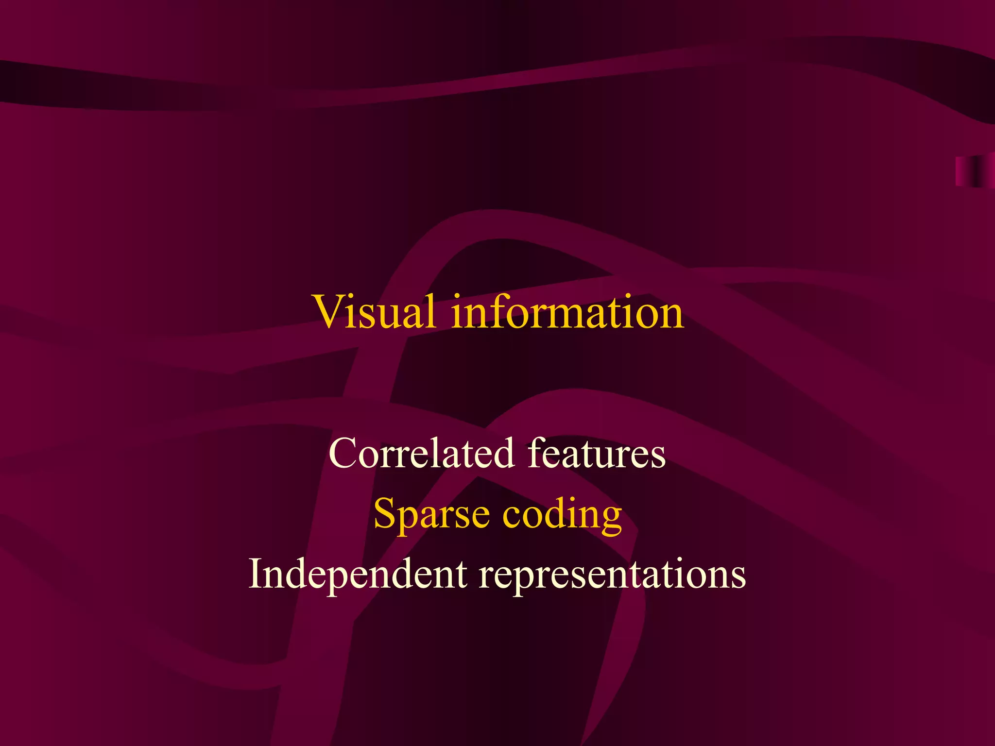 Visual information Correlated features Sparse coding Independent representations 