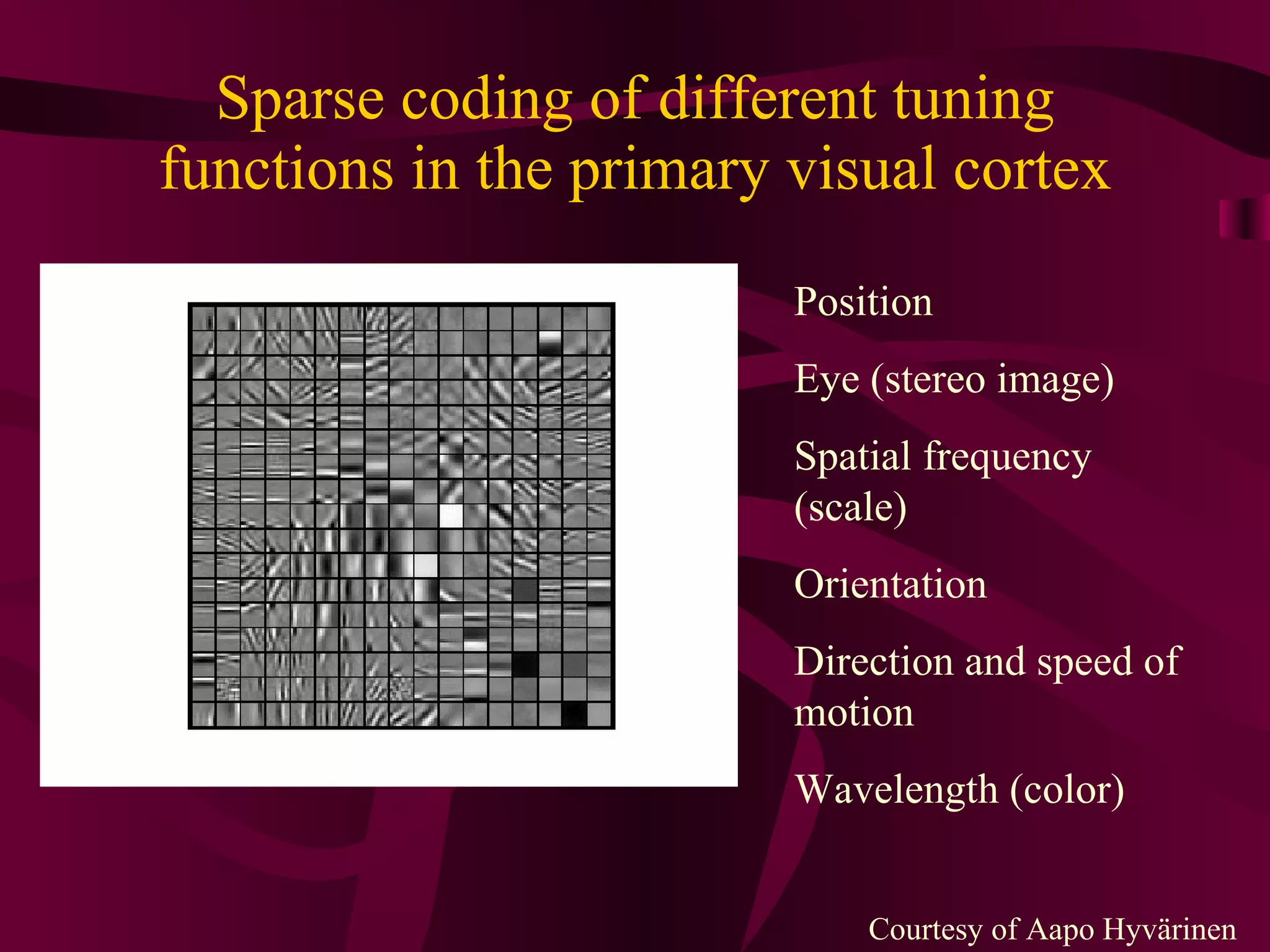 Sparse coding of different tuning functions in the primary visual cortex Position Eye (stereo image) Spatial frequency (scale) Orientation Direction and speed of motion Wavelength (color) Courtesy of Aapo Hyvärinen 