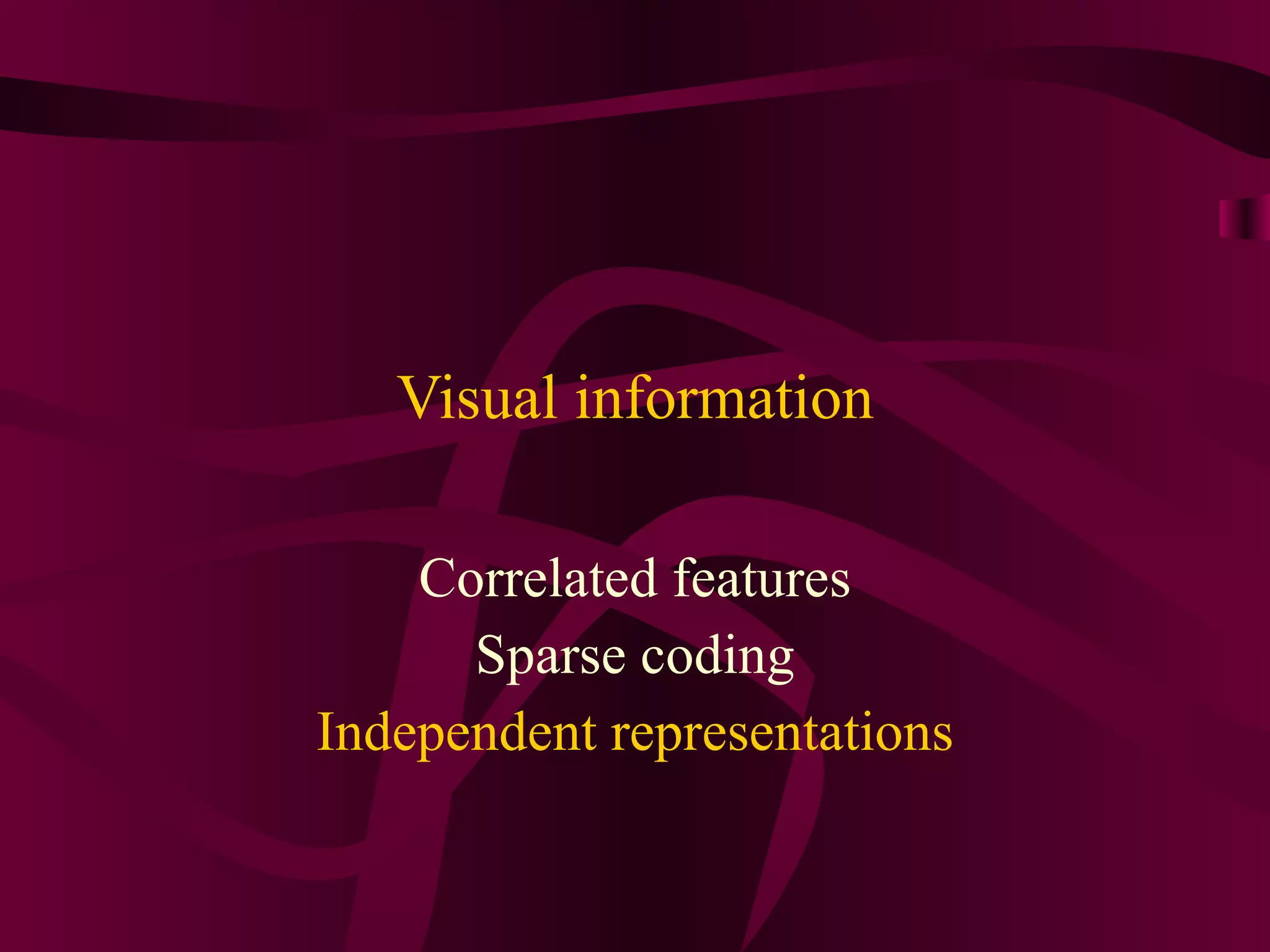 Visual information Correlated features Sparse coding Independent representations 