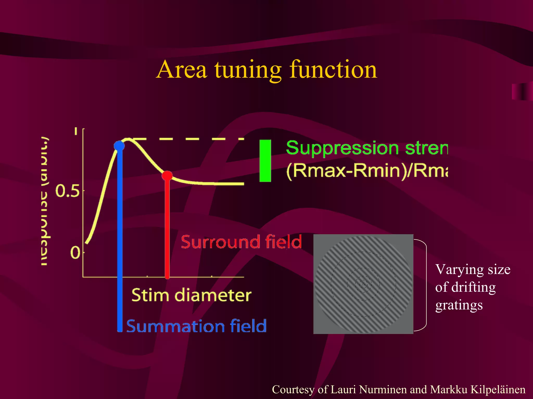 Area tuning function Varying size of drifting gratings Courtesy of Lauri Nurminen and Markku Kilpeläinen 
