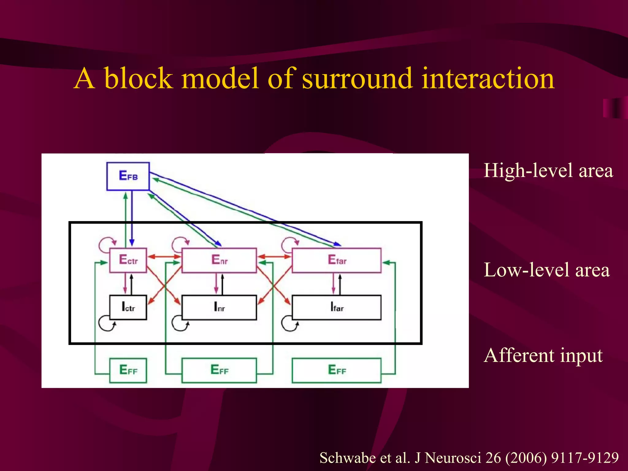 A block model of surround interaction Schwabe et al. J Neurosci 26 (2006) 9117-9129 Afferent input Low-level area High-level area 