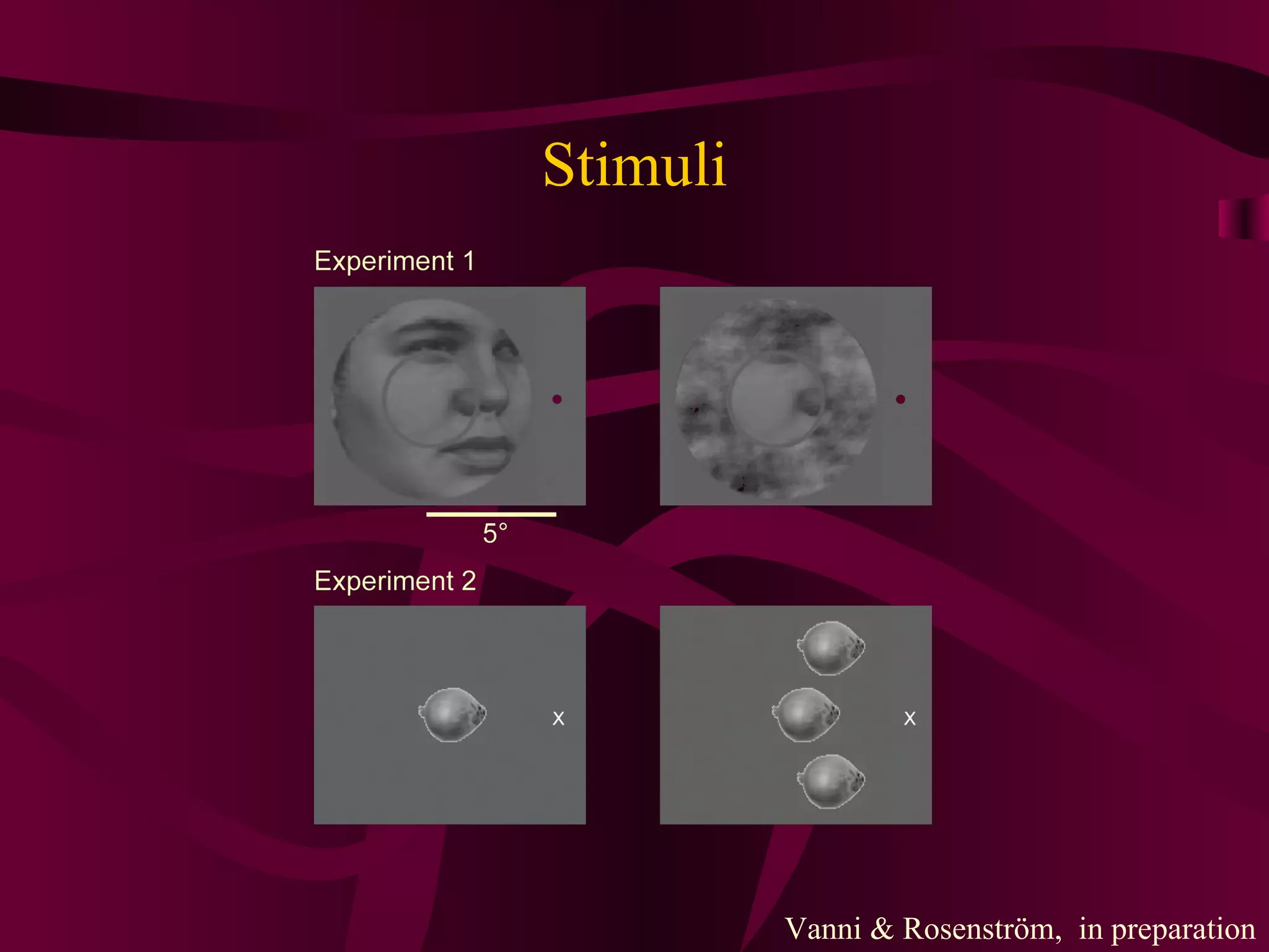 Stimuli Vanni & Rosenström,  in preparation 