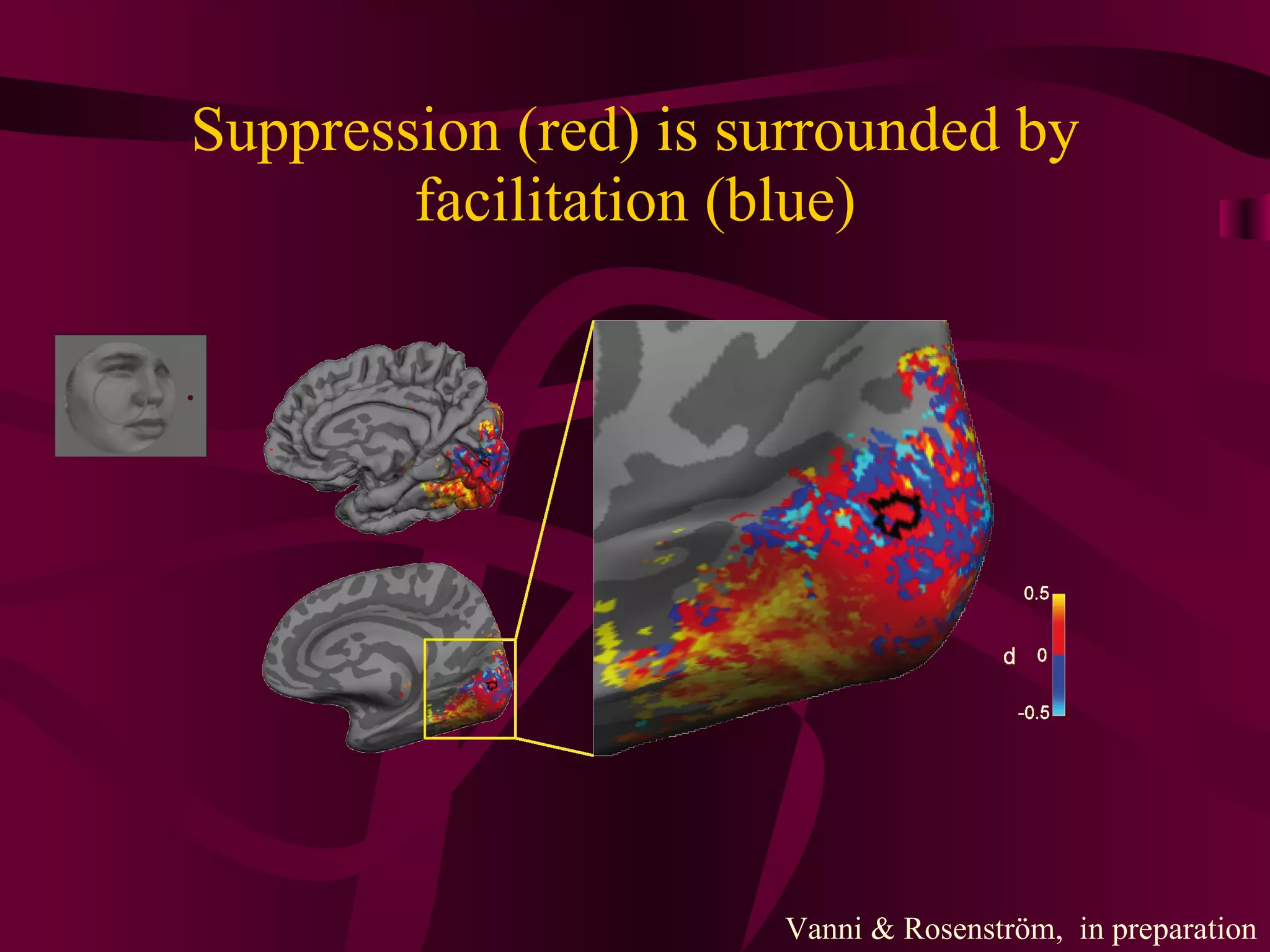 Suppression (red) is surrounded by facilitation (blue) Vanni & Rosenström,  in preparation 