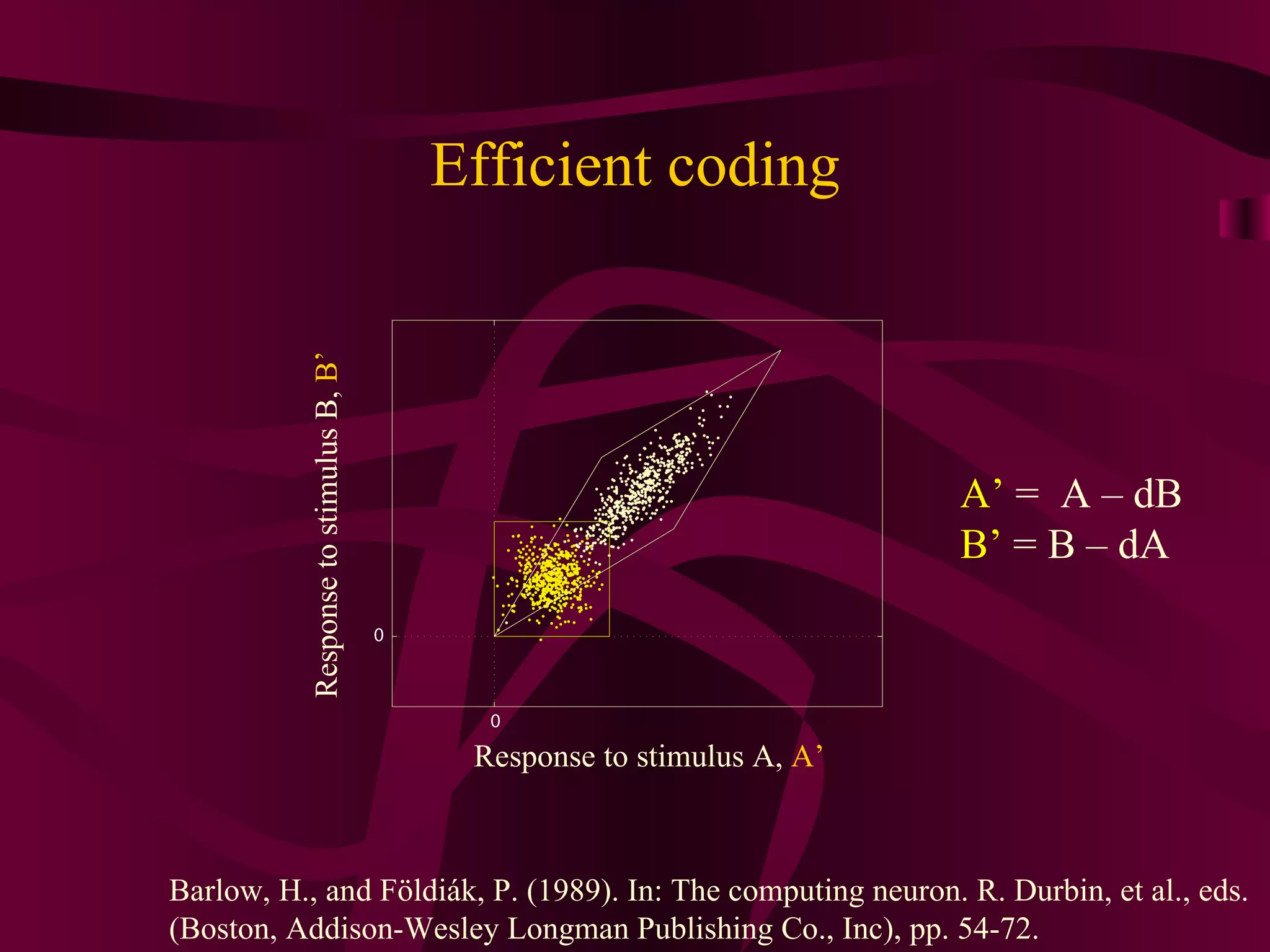 Efficient coding Response to stimulus A,  A’ Response to stimulus B,  B’ A’  =  A – dB B’  = B – dA Barlow, H., and Földiák, P. (1989). In: The computing neuron. R. Durbin, et al., eds.  (Boston, Addison-Wesley Longman Publishing Co., Inc), pp. 54-72. 
