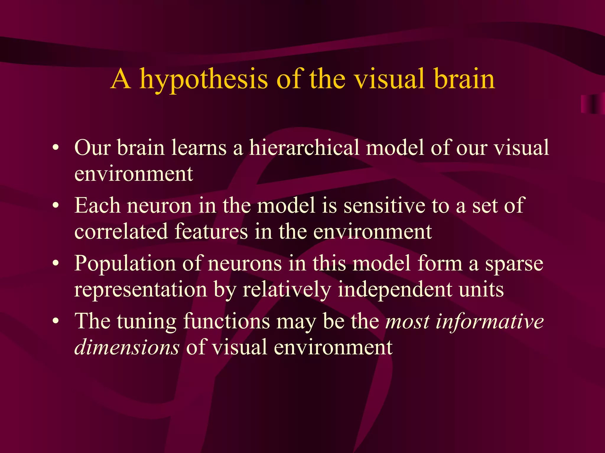 A hypothesis of the visual brain Our brain learns a hierarchical model of our visual environment Each neuron in the model is sensitive to a set of correlated features in the environment Population of neurons in this model form a sparse representation by relatively independent units The tuning functions may be the  most informative dimensions  of visual environment 