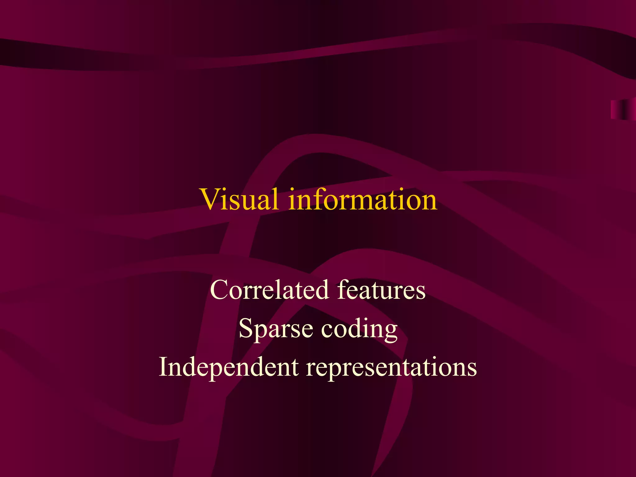 Visual information Correlated features Sparse coding Independent representations 