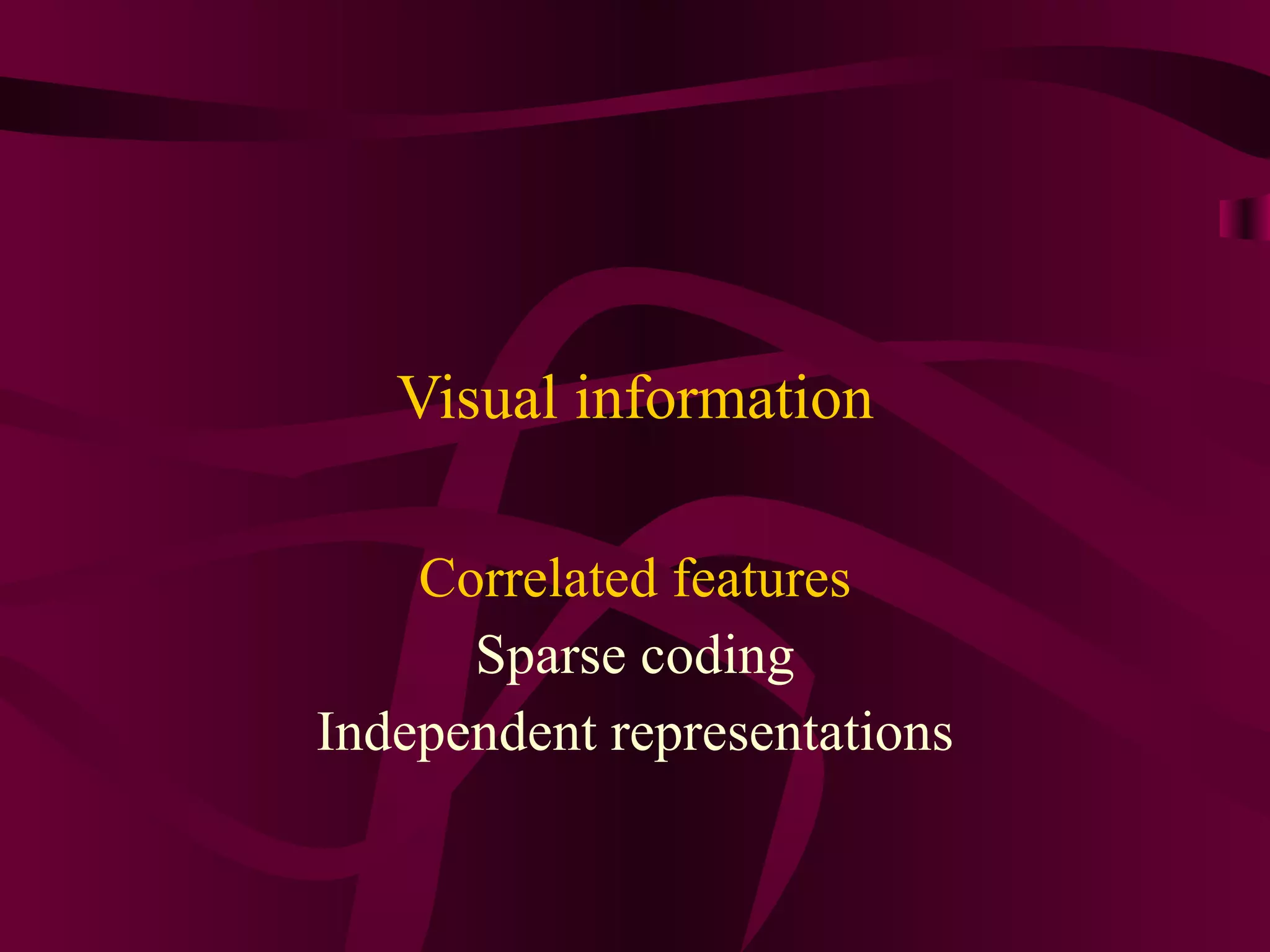 Visual information Correlated features Sparse coding Independent representations 