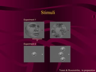 Stimuli Vanni & Rosenström,  in preparation 