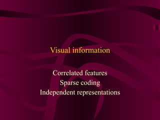 Visual information Correlated features Sparse coding Independent representations 