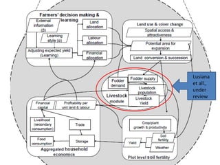 Lusiana
et all.,
under
review
 