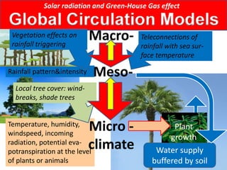 Solar radiation and Green-House Gas effect


 Vegetation effects on
 rainfall triggering
                             Macro-       Teleconnections of
                                          rainfall with sea sur-
                                          face temperature

Rainfall pattern&intensity     Meso-
  Local tree cover: wind-
  breaks, shade trees


Temperature, humidity,
windspeed, incoming
                             Micro -               Plant
                                                  growth
radiation, potential eva-
potranspiration at the level
                             climate          Water supply
of plants or animals                         buffered by soil
 