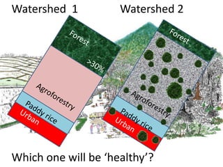 Theories of change and change of theories: Twenty years of ASB Partnership
