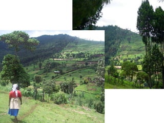 Theories of change and change of theories: Twenty years of ASB Partnership