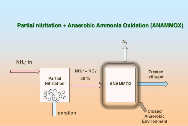 ammonia treatment in textile processing What is pretreatment | objective of pretreatment | pretreatment process in textile pretreatment are after treatment agro textile automation azoic dye. ammonia treatment in textile processing What is pretreatment | objective of pretreatment | pretreatment process in textile pretreatment are after treatment agro textile automation azoic dye.
