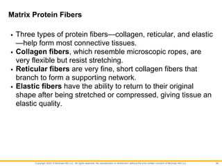 Collagen Rope VanPutte_Seeleys_Essentials_11e EPITHELIAL TISSUE.pdf