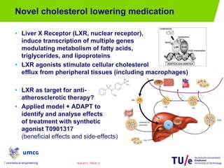 Novel cholesterol lowering medication
• Liver X Receptor (LXR, nuclear receptor),
induce transcription of multiple genes
modulating metabolism of fatty acids,
triglycerides, and lipoproteins
• LXR agonists stimulate cellular cholesterol
efflux from pheripheral tissues (including macrophages)
• LXR as target for anti-
atherosclerotic therapy?
• Applied model + ADAPT to
identify and analyse effects
of treatment with synthetic
agonist T0901317
(beneficial effects and side-effects)
/ biomedical engineering PAGE 1119-8-2013
VLDL
IDL
LDL
HDL
chylomicron
remnants
FFA
TG
LXR
LXR
 