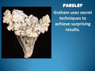 Parsley
Graham uses secret
   techniques to
achieve surprising
      results.
 