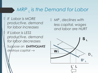 MRP L is the Demand for Labor
 If Labor is MORE
productive, demand
for labor increases
 If Labor is LESS
productive, demand
for labor decreases
 Suppose an EARTHQUAKEEARTHQUAKE
destroys capital →
 MP L declines with
less capital, wages
and labor are HURT
D L
D’ L
S L
W↓
L’ L
 