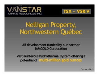 Nelligan Property,
Northwestern Québec
All development funded by our partner
IAMGOLD Corporation
Vast auriferous hydrothermal system offering a
potential of multi-million gold ounces
February 2019
 