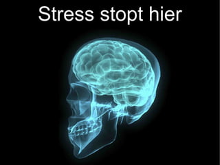 Stress stopt hier
 