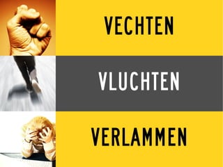 VECHTEN

VLUCHTEN

VERLAMMEN
 