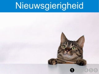 Nieuwsgierigheid




            ➊➋➌➍➎➏
 