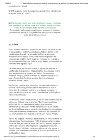 17/08/2018 Sistema Bioflocos: custos com criação de camarões podem cair até 30% – Sociedade Nacional de Agricultura
http://www.sna.agr.br/sistema-bioflocos-custos-com-criacao-de-camaroes-podem-cair-ate-30/ 3/6
como alimento natural.
“O BFT apresenta maior biossegurança, pois diminui intercâmbios
de água e doenças”, explica
 
Estrutura de estufas para testes piloto com tanques revestidos
com geomembrana (PEAD) da Estação Marinha de Aquacultura da
FURG, Rio Grande (RS). Foto: Dariano Krummenauer
Estrutura de estufas para testes piloto com tanques revestidos com
geomembrana (PEAD) da Estação Marinha de Aquacultura da FURG.
Foto: Dariano Krummenauer
 
RELATÓRIO
Outro relatório da FURG – produzido por Wilson em parceria com
os pesquisadores Carlos Augusto Gaona, Fabiane da Paz Serra,
Luis Henrique Poersch -, a formação do oco ou agregado
microbiano surge após o acúmulo de matéria orgânica e da
existência de oxigênio no BFT, seja ele realizado em viveiros ou
em tanques revestidos com material impermeável, com mínima ou
nenhuma renovação de água.
Ele destaca que, no início do cultivo, a água clara favorece a
proliferação de organismos fotoautotró cos (aqueles que obtêm
seus nutrientes com a ajuda da luz do sol). Os nutrientes
presentes na água, continua Wilson, e a disponibilidade de luz
para a fotossíntese facilita a aparição das microalgas nos
primeiros dias do cultivo.
“Conforme a concentração da amônia vai crescendo, aumenta
também a concentração das bactérias heterotró cas (que se
alimentam de moléculas orgânicas oriundas de outros seres
vivos), bene ciadas pela sua maior capacidade de assimilação de
nitrogênio amoniacal.”
Sob efeito da amônia nas bactérias, é notado alta concentração de
nitrito, que é tóxico para os animais. “Os níveis crescentes de
nitrito, por sua vez, favorecem a presença de bactérias
nitri cantes que oxidam o nitrito, transformando-o em nitrato,
que é menos tóxica para os camarões con nados. Em um processo
simultâneo e contínuo, observamos a formação dos bio ocos e o
seu acúmulo até o nal do ciclo de produção”, explica Wilson,
No que diz respeito à formação dos bio ocos, os pesquisadores do
Laboratório de Carcinicultura da FURG já testaram diferenciadas
fontes de aeração, diversas fontes de carbono, além da adição de
amônia para acelerar a formação dos agregados microbianos.
Também foram realizados cultivos com água marinha natural e
arti cial, com diferentes salinidades, e avaliada a viabilidade da
reutilização de água.
 