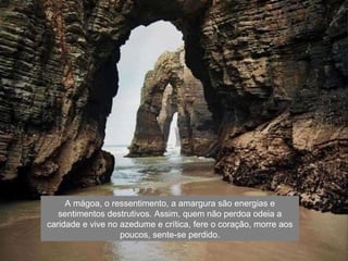 A mágoa, o ressentimento, a amargura são energias e sentimentos destrutivos. Assim, quem não perdoa odeia a caridade e vive no azedume e crítica, fere o coração, morre aos poucos, sente-se perdido. 