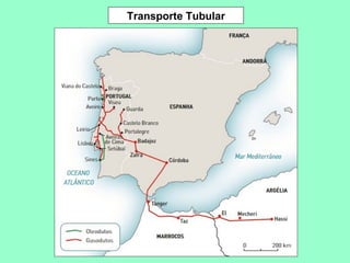 Transporte Tubular 
 
