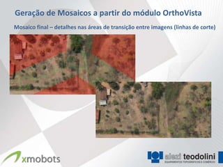 Geração de Mosaicos a partir do módulo OrthoVista
Mosaico final – detalhes nas áreas de transição entre imagens (linhas de corte)
 