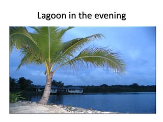 Lagoon in the evening