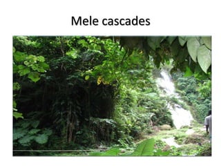Mele cascades