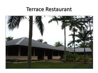 Terrace Restaurant