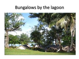 Bungalows by the lagoon