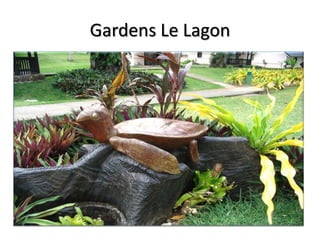 Gardens Le Lagon