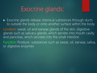 Exocrine glands:
 Exocrine glands release chemical substances through ducts
to outside the body or onto another surface within the body
Location: sweat, oil and earwax glands of the skin ,digestive
glands such as salivary glands, which secrete into mouth cavity
and pancreas, which secretes into the small intestine
Function: Produce substances such as sweat, oil, earwax, saliva,
or digestive enzymes
 