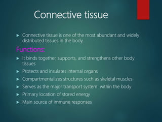 Connective tissue
 Connective tissue is one of the most abundant and widely
distributed tissues in the body.
Functions:
 It binds together, supports, and strengthens other body
tissues
 Protects and insulates internal organs
 Compartmentalizes structures such as skeletal muscles
 Serves as the major transport system within the body
 Primary location of stored energy
 Main source of immune responses
 