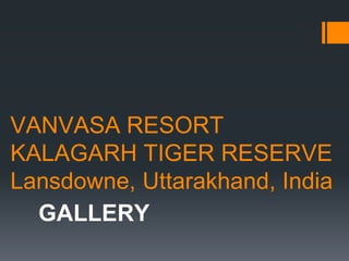 VANVASA RESORT
KALAGARH TIGER RESERVE
Lansdowne, Uttarakhand, India
GALLERY
 