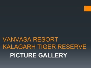 VANVASA RESORT
KALAGARH TIGER RESERVE
PICTURE GALLERY
 
