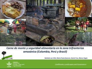 Carne de monte y seguridad alimentaria en la zona trifronteriza
amazónica (Colombia, Perú y Brasil)
Nathalie van Vliet, María Paula Quiceno, Daniel Cruz, Blanca Yagüe
 