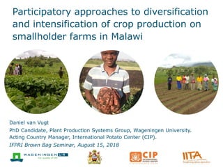 Participatory approaches to diversification
and intensification of crop production on
smallholder farms in Malawi
Daniel van Vugt
PhD Candidate, Plant Production Systems Group, Wageningen University.
Acting Country Manager, International Potato Center (CIP).
IFPRI Brown Bag Seminar, August 15, 2018
 