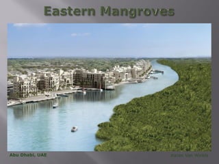 Abu Dhabi, UAE   Karen Van Winkle
 