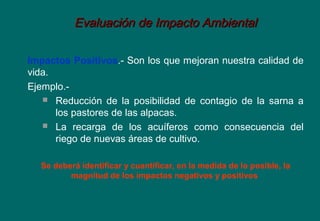 Evaluación de Impacto AmbientalEvaluación de Impacto Ambiental
Impactos Positivos.- Son los que mejoran nuestra calidad de
vida.
Ejemplo.-
 Reducción de la posibilidad de contagio de la sarna a
los pastores de las alpacas.
 La recarga de los acuíferos como consecuencia del
riego de nuevas áreas de cultivo.
Se deberá identificar y cuantificar, en la medida de lo posible, la
magnitud de los impactos negativos y positivos
 