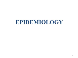 EPIDEMIOLOGY
16
 