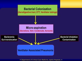 Bacterial Colonization
                    (Aerodigestive tract, ETT, Ventilator tubings)




                             Micro-aspiration
                      (Secretions, Vent. Condensate, Aerosols)


  Bacteremia                                                                Bacterial inhalation
Gut translocation                                                             Contamination



                    Ventilator Associated Pneumonia


                      Department of Critical Care Medicine, Apollo Hospitals 
 