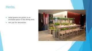 Herbs


salad greens are grown in an
enclosed space in the dining area.



not just for decoration

 