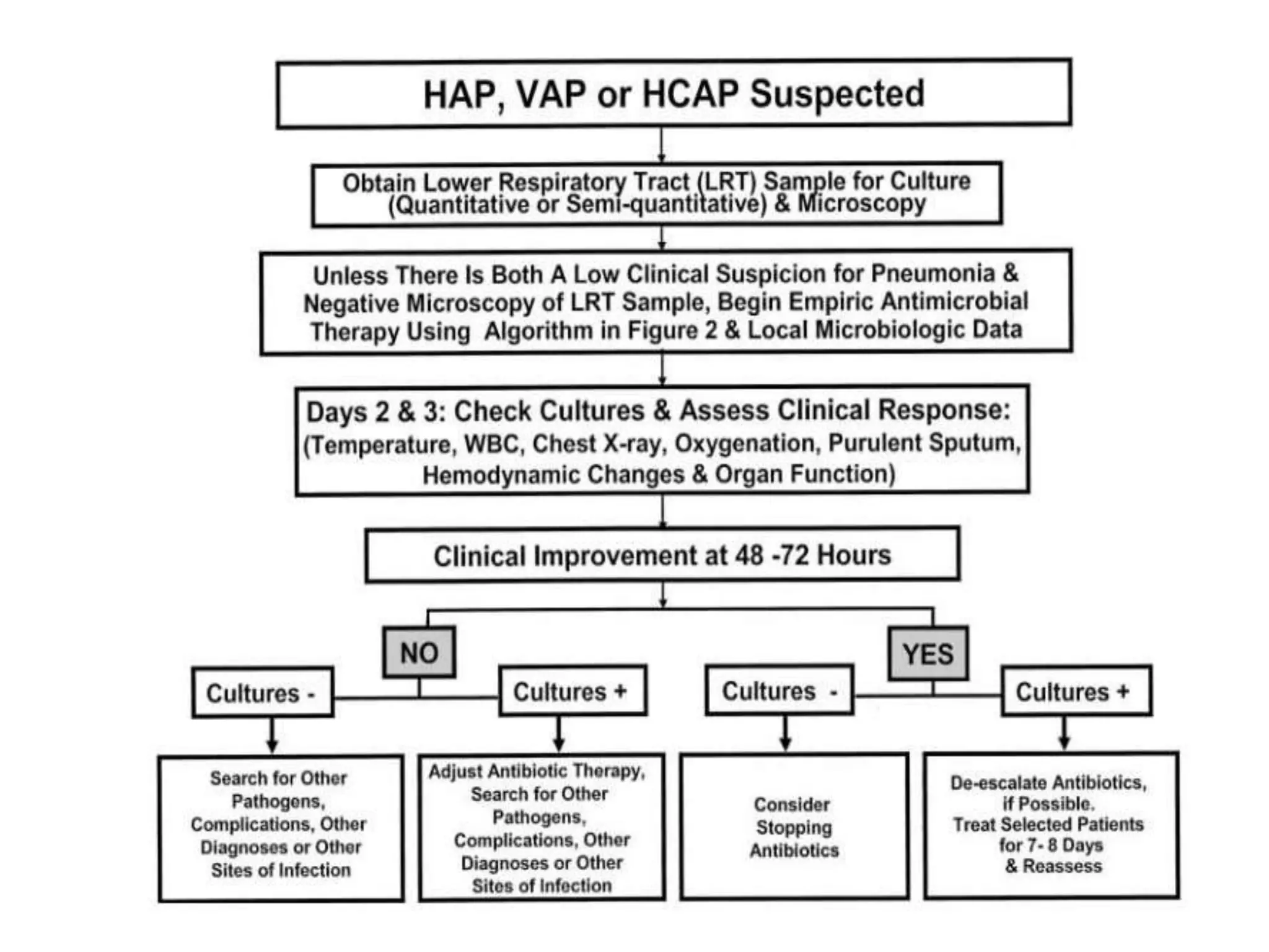 VENTILATOR - ASSOCIATED PNEUMONIA | PPTX